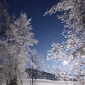 Lac de Joux - 032